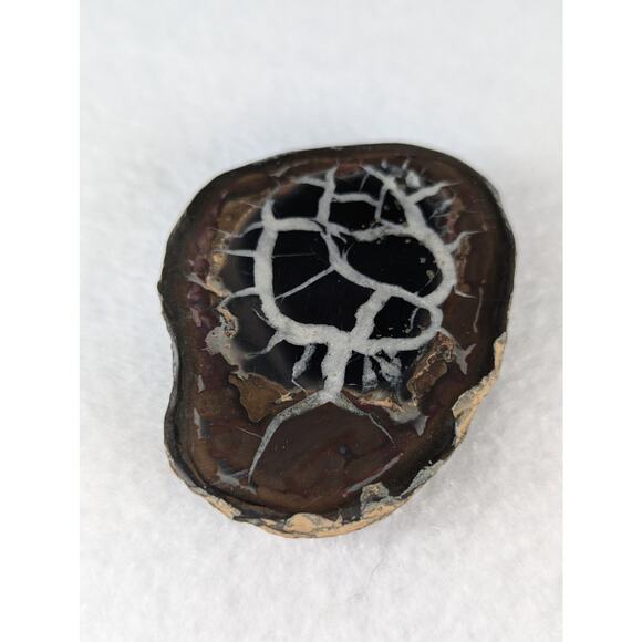 Dragon Stone Septarian slice fossil 41 x 55mm 35.5 grams Thunder egg NWOT - Picture 10 of 11